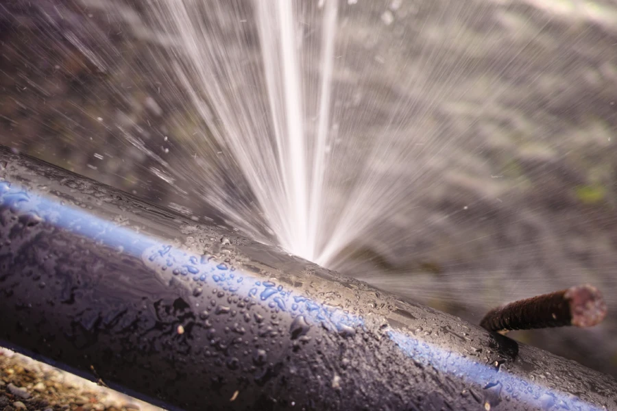 Signs You Need Immediate Water Leak Repairs Pacifica, CA